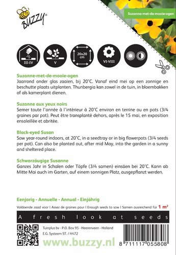 Buzzy® Thunbergia, Suzanne-met-de-mooie-ogen - afbeelding 2