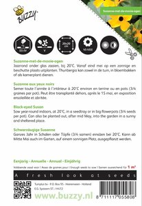 Buzzy® Thunbergia, Suzanne-met-de-mooie-ogen - afbeelding 2