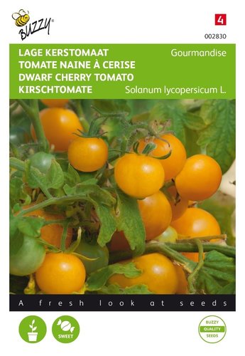 Buzzy® Tomaten Gourmandise (gele cherry patio) - afbeelding 1