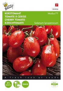 Buzzy® Tomaten Modus F1 - afbeelding 1