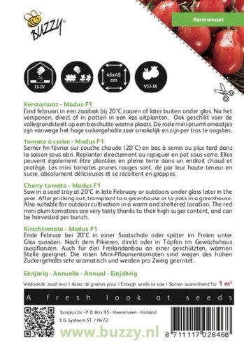 Buzzy® Tomaten Modus F1 - afbeelding 2