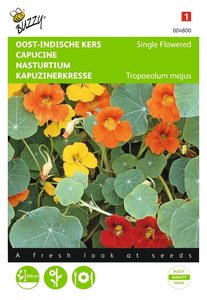 Buzzy® Tropaeolum, Oost-Indische kers enkelbloemig gemengd - afbeelding 1