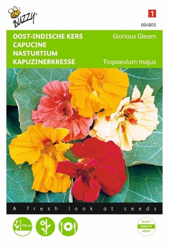 Buzzy® Tropaeolum, Oost-Indische kers Glorious Gleam - afbeelding 1