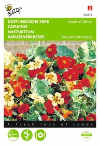 Buzzy® Tropaeolum, Oost-Indische kers Jewel of Africa - afbeelding 1