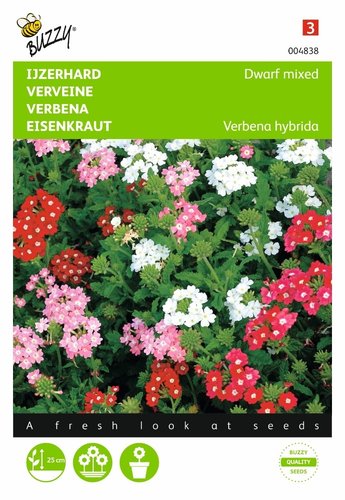 Buzzy® Verbena, IJzerhard compact kleurenmengsel - afbeelding 1