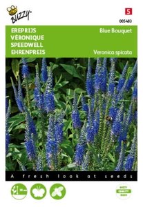 Buzzy® Veronica, Ereprijs Blue Bouquet - afbeelding 1