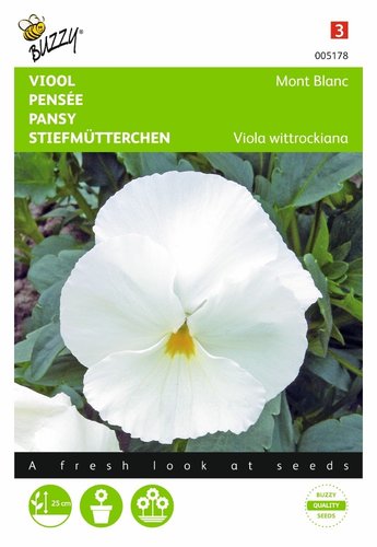 Buzzy® Viola, Viool Mont Blanc Zwitserse Reuzen - afbeelding 1