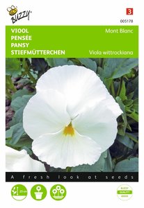 Buzzy® Viola, Viool Mont Blanc Zwitserse Reuzen - afbeelding 1