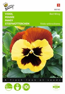 Buzzy® Viola, Viool Red Wing - afbeelding 1