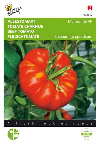 Buzzy® Vleestomaat Marmande VR - afbeelding 1