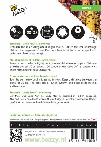 Buzzy® Zea Mays, Siermaïs Little Jewels gemengd - afbeelding 2