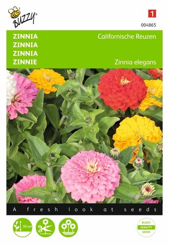 Buzzy® Zinnia Californische Reuzen gemengd - afbeelding 1