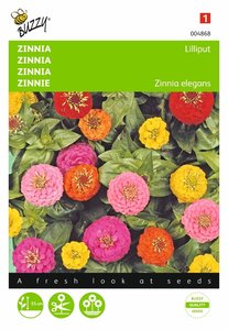 Buzzy® Zinnia Lilliput gemengd - afbeelding 1