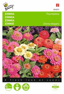 Buzzy® Zinnia Thumbelina gemengd - afbeelding 1