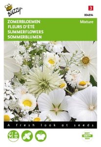 Buzzy® Zomerbloemen Witte Tinten - afbeelding 1