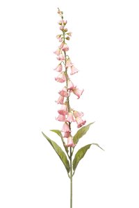 Campanula spray lt pink 96cm