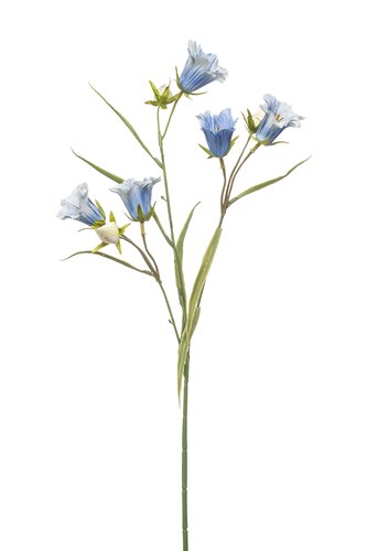 Campanula spray x3 lt blue 65cm