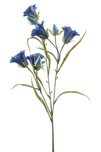 Campanula Tak Zijde - 65cm Blauw x3
