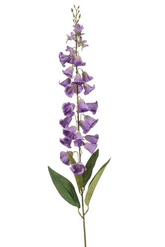 Campanula Tak Zijde - 98cm Paars