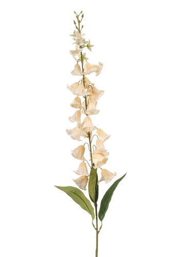 Campanula Tak Zijde - 98cm Perzik