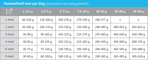 CaroCroc Brokken Hond Puppy - 3Kg - afbeelding 4