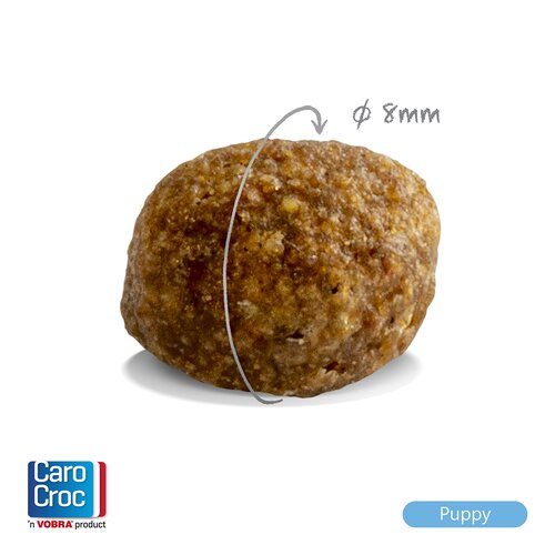 CaroCroc Brokken Hond Puppy - 3Kg - afbeelding 2