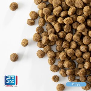 CaroCroc Brokken Hond Puppy - 3Kg - afbeelding 3