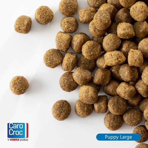 CaroCroc Brokken Hond Puppy Grote Rassen - 3Kg - afbeelding 3