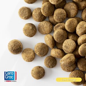 CaroCroc Brokken Hond Weinig Bewegen - 3Kg - afbeelding 3