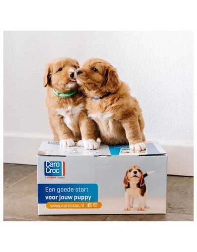 CaroCroc Hondenbrokken Puppypakket - 1,5 Kg - afbeelding 2