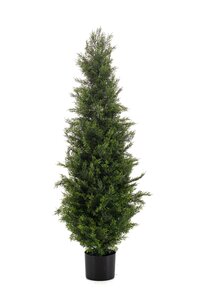 Cedar Tree UV Tak Zijde - 120cm