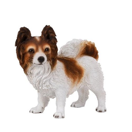 Chihuahua staand