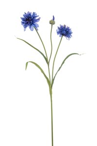 Cornflower spray x3 blue 75cm