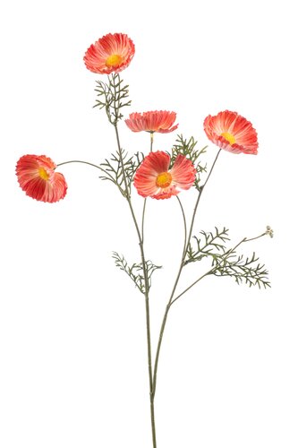 Cosmos Tak Zijde - 70cm Oranje