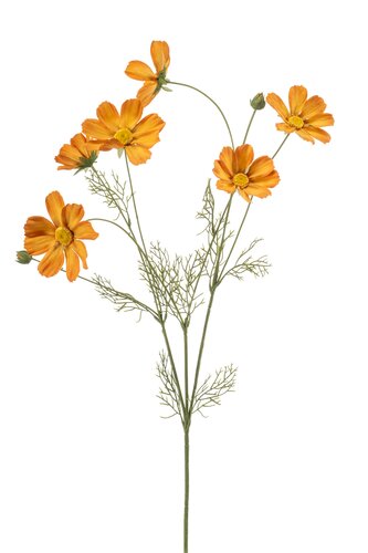 Cosmos Tak Zijde - 90cm Oranje