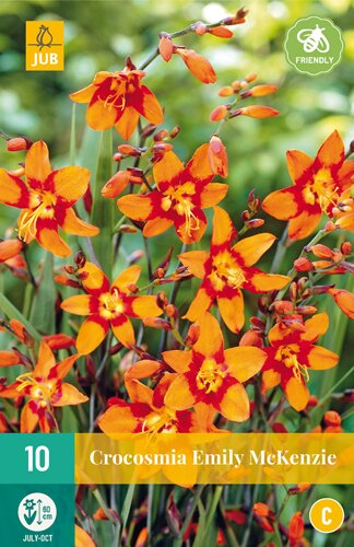Crocosmia emily mckenzie 10st