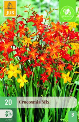 Crocosmia mix 20st
