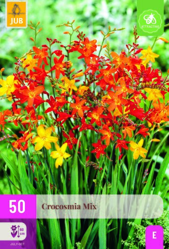 Crocosmia mix 50st