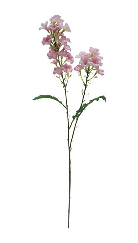 Dagbloem Roze 77 cm