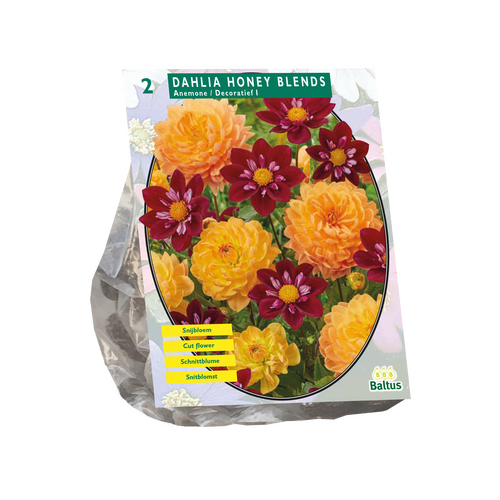 Dahlia Honing Mix - afbeelding 1