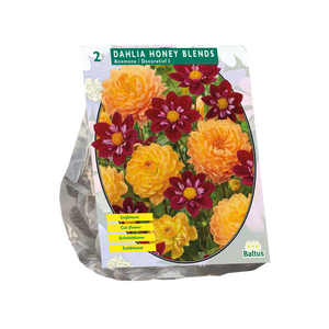 Dahlia Honing Mix - afbeelding 1