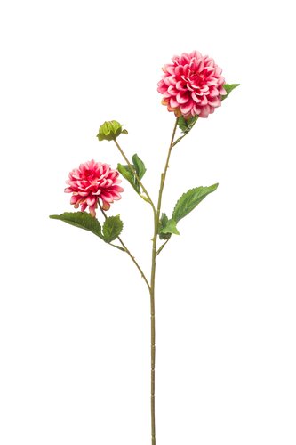 Dahlia mini spray x3 pink 68cm