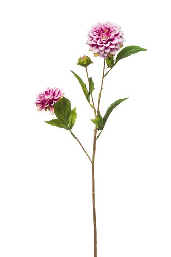 Dahlia mini spray x3 purple 68cm