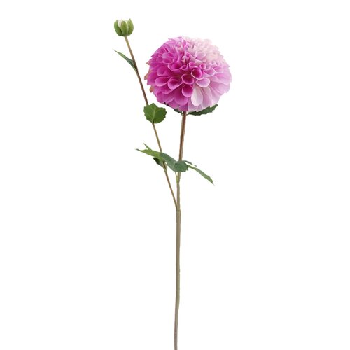 Dahlia Paars 63 cm