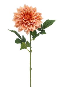 Dahlia spray RT peach 70cm