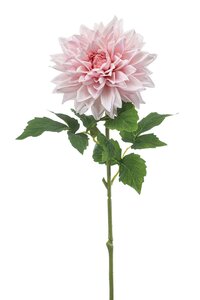 Dahlia spray RT pink 70cm