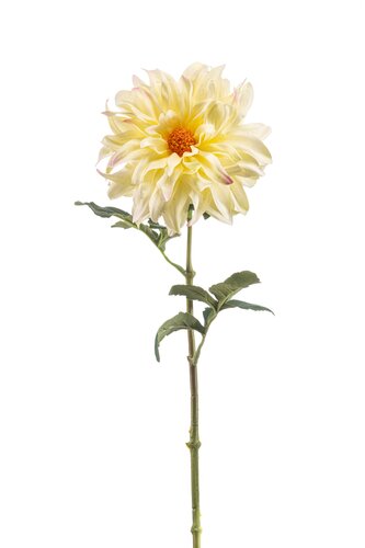 Dahlia Tak Zijde - 56cm Geel