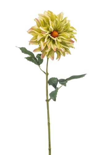 Dahlia Tak Zijde - 56cm Groen
