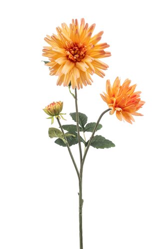 Dahlia Tak Zijde - 75cm Oranje