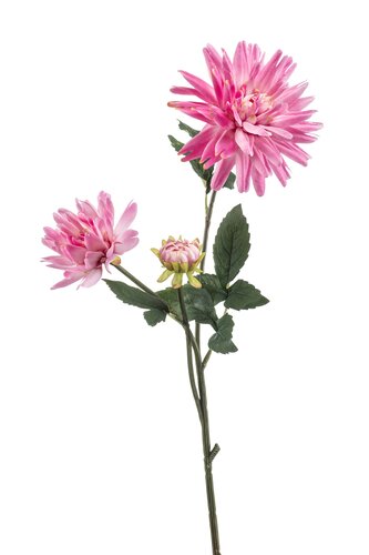 Dahlia Tak Zijde - 75cm Roze